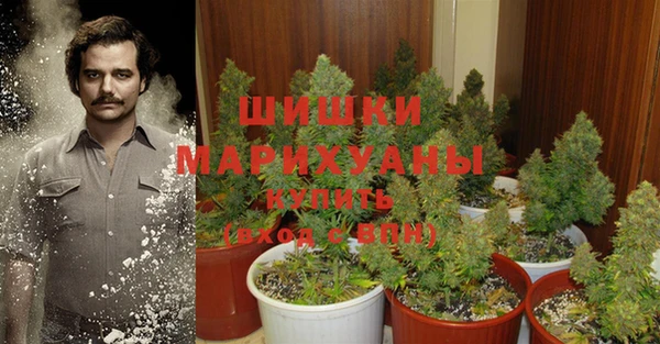 спайс Богородицк