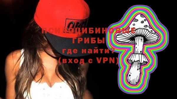 спайс Богородицк