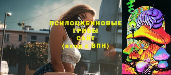 ALPHA-PVP Богородск