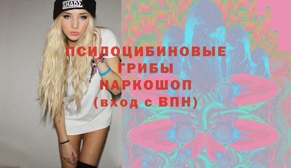 спайс Богородицк