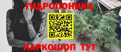 ГАЛЛЮЦИНОГЕННЫЕ ГРИБЫ Можга