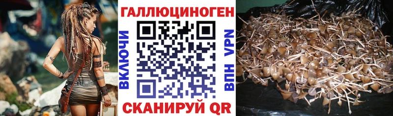 Галлюциногенные грибы GOLDEN TEACHER  Наро-Фоминск 